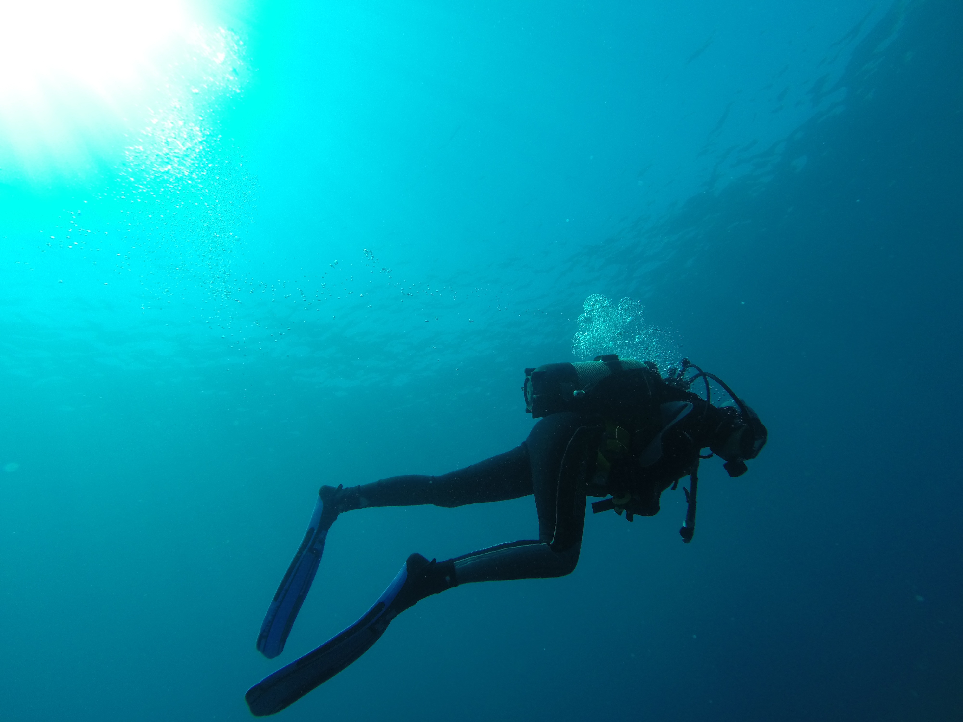 Diving Diving