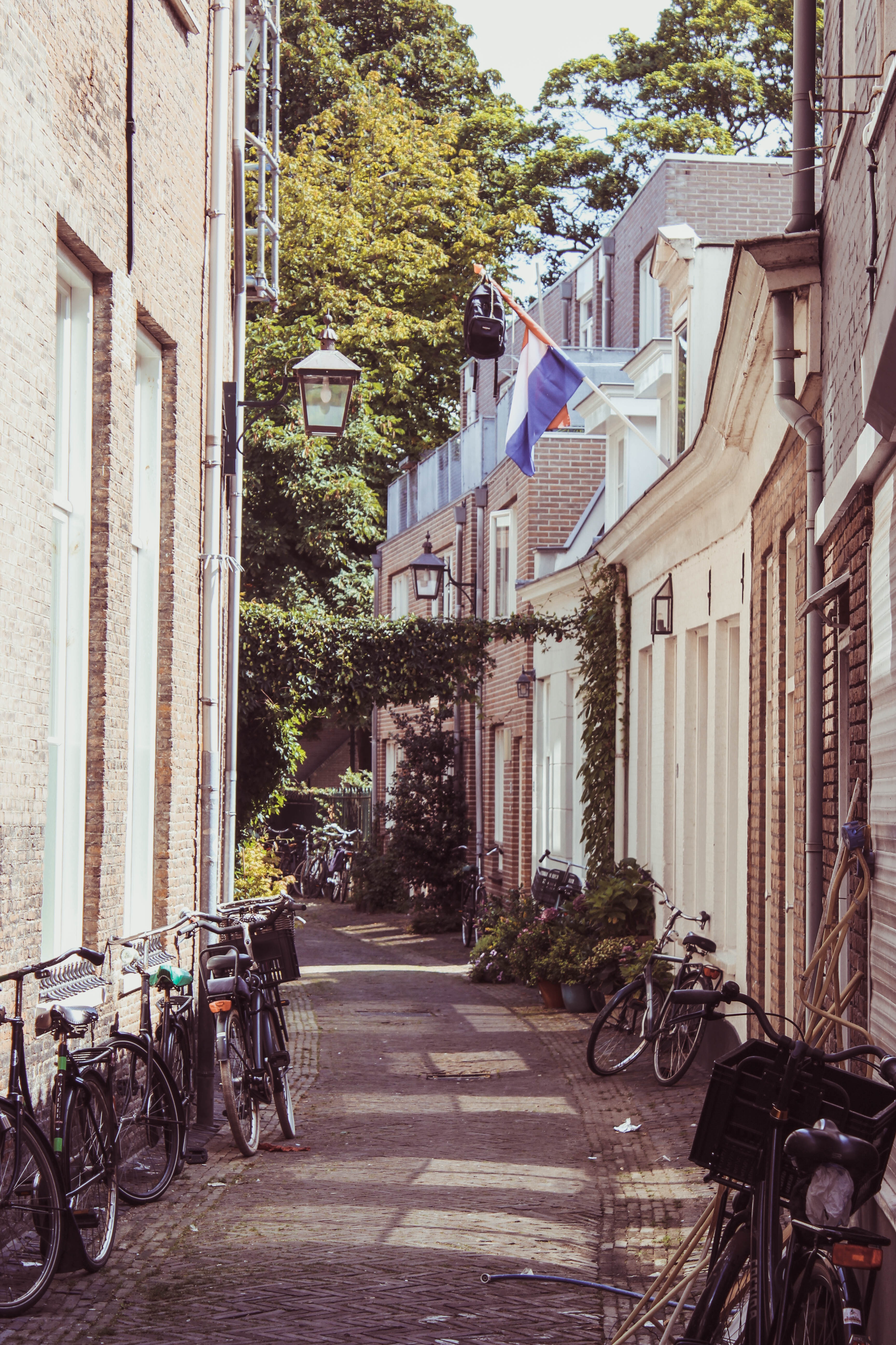 Cycling Cycling